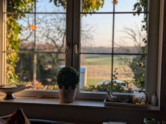 Entspannter Blick in die Natur vom OG der Hauptwohnung 