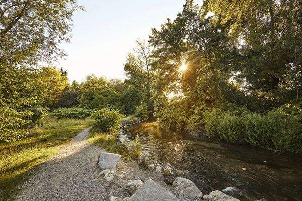 700m ENTFERNT - DIE WÜRM