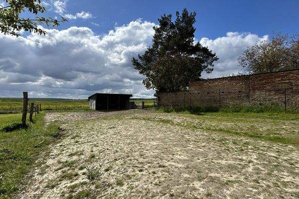 Offenpaddock mit Überdachung