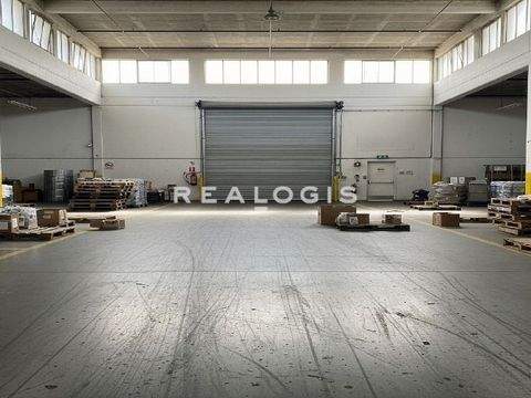 Villingen-Schwenningen Halle, Villingen-Schwenningen Hallenfläche