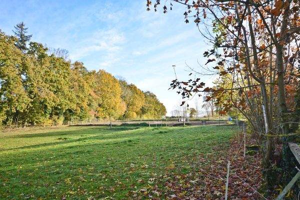 Resthof-Ostholstein (17 von 46).jpg