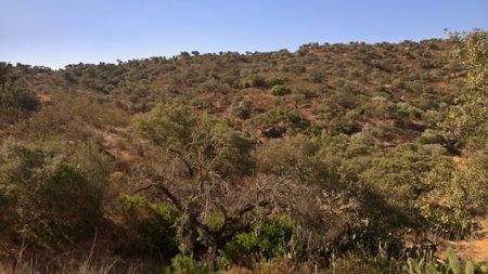 0b13bb23-98b6-4c53-9574-46c6272b0994