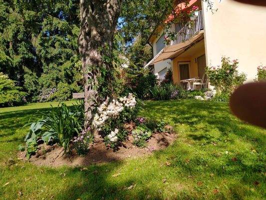 Eingewachsener Garten