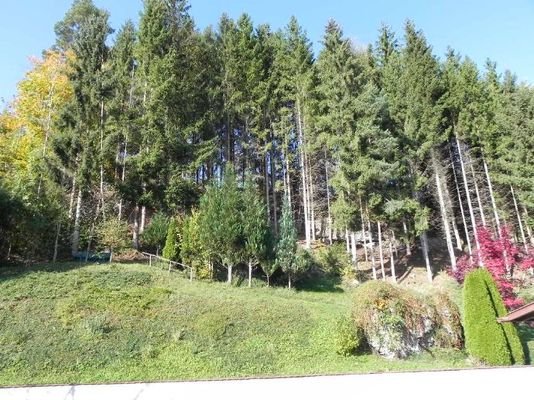 Bild 16
