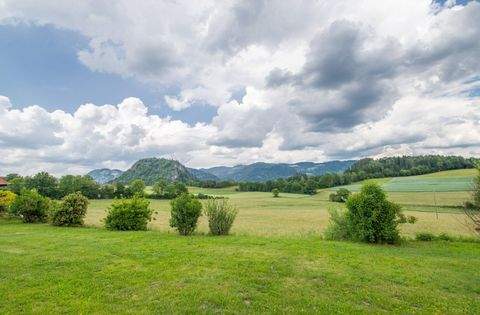 Völkermarkt Grundstücke, Völkermarkt Grundstück kaufen