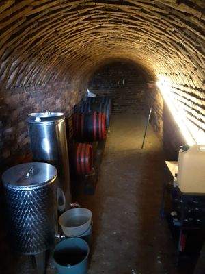 WhatsApp Image 2025-10-22 at 14.15.49 (5).jpeg