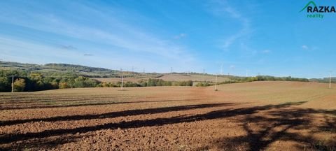 Lubenec Bauernhöfe, Landwirtschaft, Lubenec Forstwirtschaft