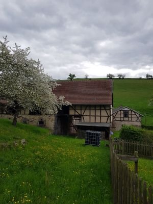 Rückansicht mit Streuobstwiese