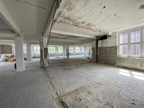 Berlin Halle, Berlin Hallenfläche