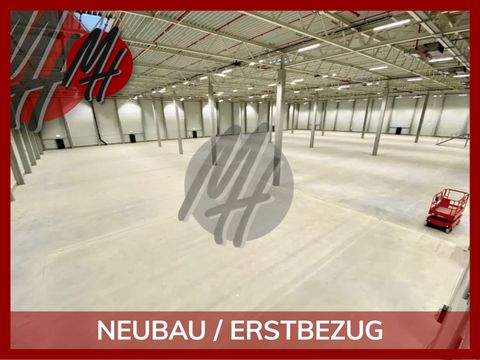 Alsdorf Halle, Alsdorf Hallenfläche