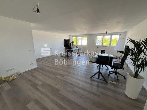 Waldenbuch Büros, Büroräume, Büroflächen 