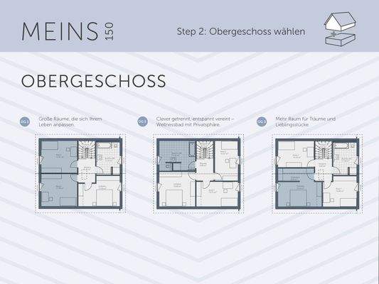 MEINS 150 OG1 + OG2 + OG3