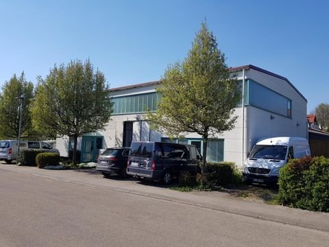Notzingen Halle, Notzingen Hallenfläche