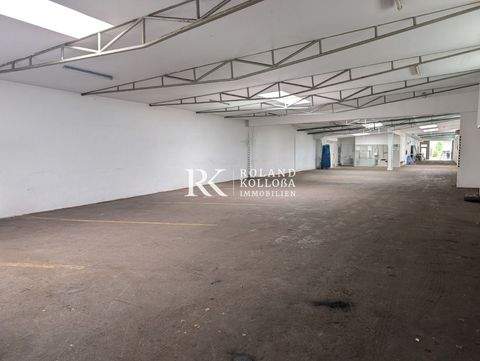 Hamburg Halle, Hamburg Hallenfläche