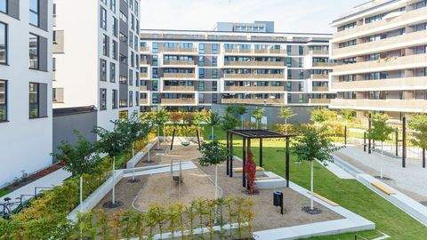 Dresden Wohnungen, Dresden Wohnung mieten