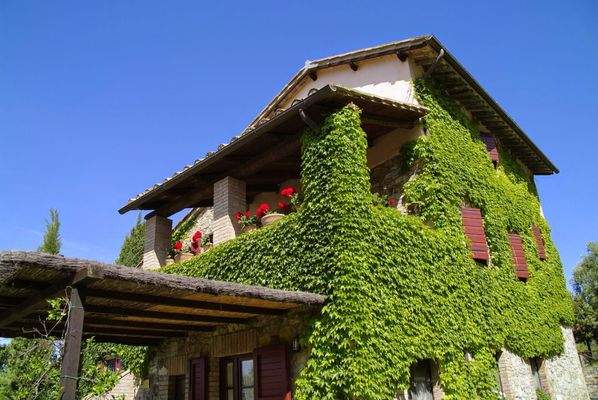 WhatsApp Image 2024-06-01 at 11.17.11 (4).jpeg