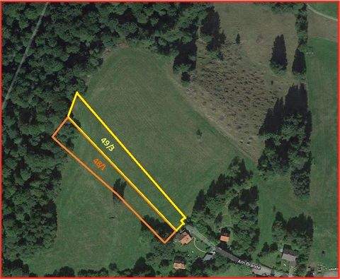 Braunlage Bauernhöfe, Landwirtschaft, Braunlage Forstwirtschaft