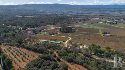 Roussillon Bauernhöfe, Landwirtschaft, Roussillon Forstwirtschaft