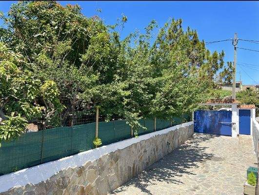 WhatsApp Image 2025-05-01 at 12.22.05 (1).jpeg