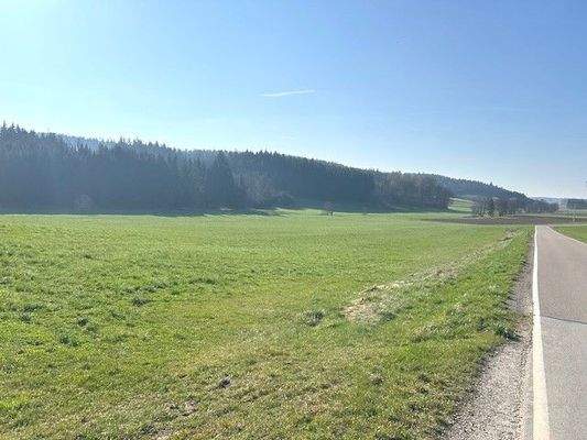 Landwirtschaftsfläche