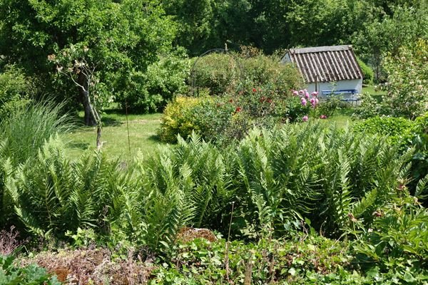 und noch einmal Garten