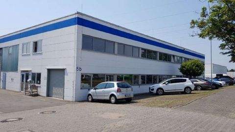 Mörfelden-Walldorf Halle, Mörfelden-Walldorf Hallenfläche