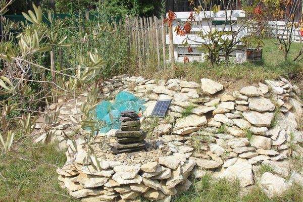 Gartendetail (2).jpg