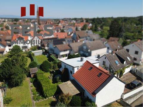 Langen Häuser, Langen Haus kaufen