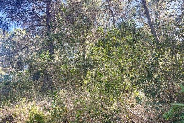 Natürliche Umgebung