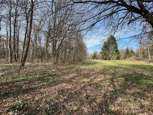 Blick vom Wirtschaftsweg nach Nord-Westen