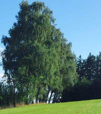 LeBa aussen landw. Grunstücke teil....jpg