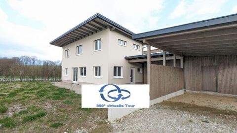 Treubach Häuser, Treubach Haus kaufen