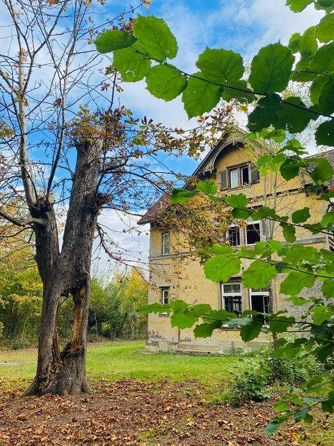 Weil der Stadt Häuser, Weil der Stadt Haus kaufen