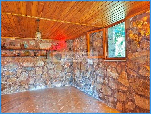 ce20ace53dbc49eab6cd1baa6e0a60ac-original