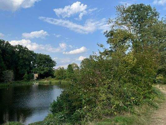 Waldteiche am Stadtwald (ca. 10 Gehminuten entfernt)
