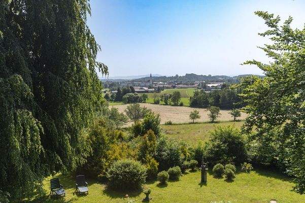 Blick auf Waging von oben