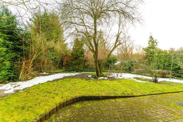 Garten, mit viel Platz zum genießen und verweilen