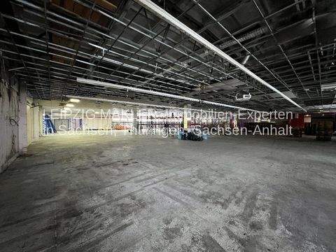 Delitzsch Ladenlokale, Ladenflächen 