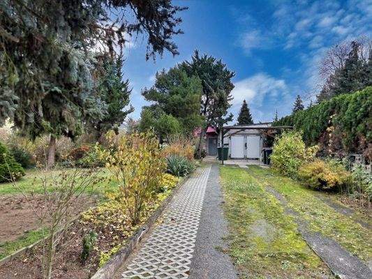 Vorgarten mit Zufahrt zum Haus