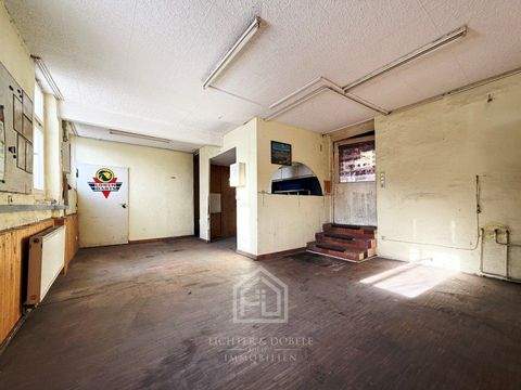 Tuttlingen Halle, Tuttlingen Hallenfläche