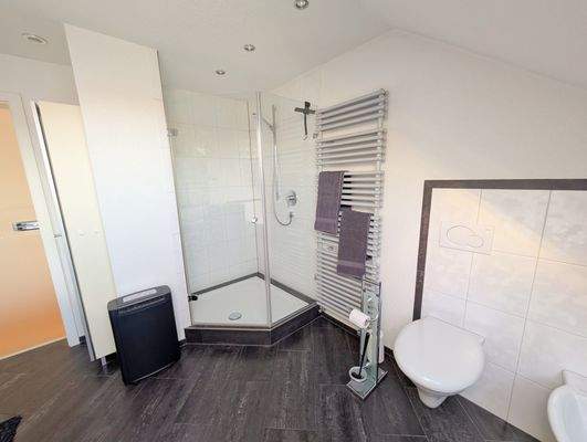 Badezimmer Wohnung  DG