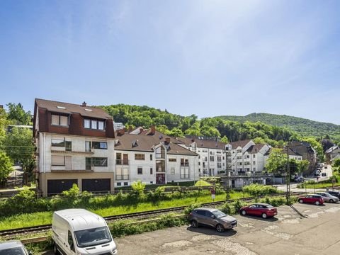 Neustadt an der Weinstraße Wohnungen, Neustadt an der Weinstraße Wohnung mieten