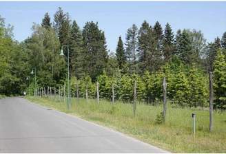 Blick von der Straße auf die Flurstücke.png