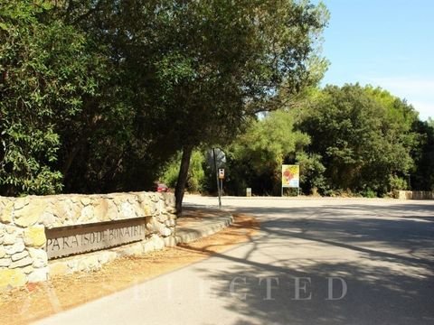Alcúdia Grundstücke, Alcúdia Grundstück kaufen