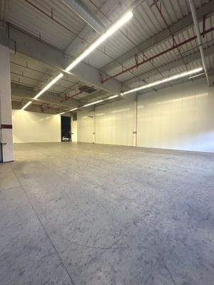 Image 2024-12-19 at 11.47.18 (1).jpeg