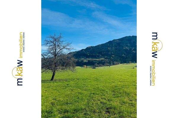 mkaw-immobilien-grundstueck-kaufen-saalfelden-pinz