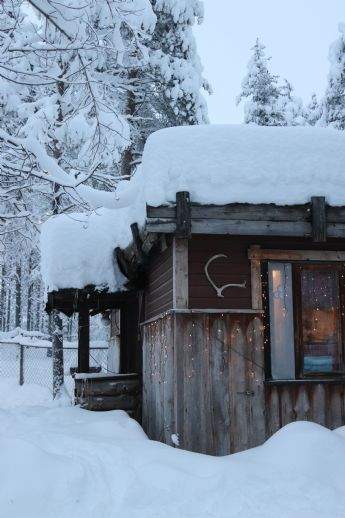 McMurdo Wohnungen, McMurdo Wohnung mieten