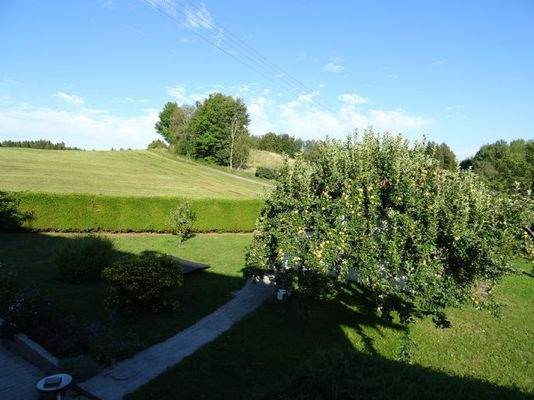 Blick von der Terrasse über den Garten