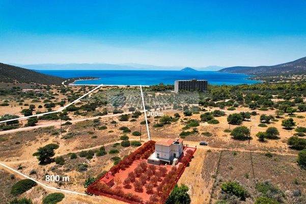 img_a6019b76-ebf8-486b-b958-17d885c2c6e9