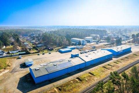 Beelitz Halle, Beelitz Hallenfläche